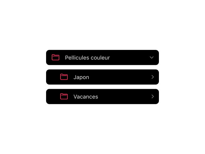 Application Frames montrant organisation dossiers imbriqués pour archives pellicules photo