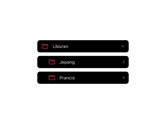 Aplikasi fotografi film Frames menampilkan organisasi folder bersarang untuk arsip gulungan film
