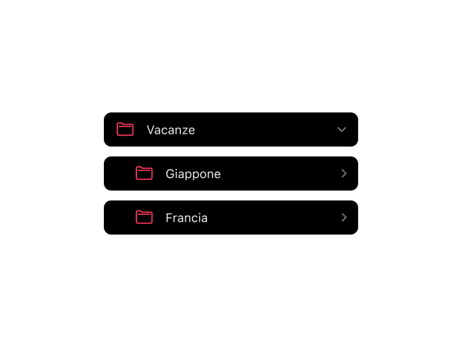 App Frames per fotografia analogica che mostra organizzazione cartelle annidate per archivi rullini