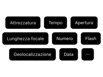 Campi completi di tracciamento dei metadati della pellicola: attrezzatura fotografica, tipo di pellicola, apertura, lunghezza focale, tempo di esposizione, ISO, impostazioni flash e dati di posizione GPS.