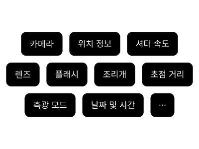 완전한 필름 메타데이터 추적 필드: 카메라 장비, 필름 스톡, 조리개, 초점 거리, 셔터 속도, ISO, 플래시 설정 및 GPS 위치 데이터.