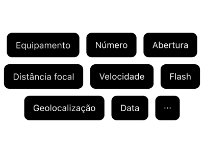 Campos completos de rastreamento de metadados de filme: equipamento de câmera, tipo de filme, abertura, distância focal, velocidade do obturador, ISO, configurações de flash e dados de localização GPS.