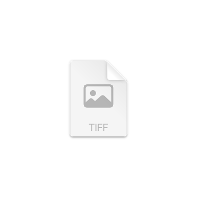 5. Associate Data with Photos