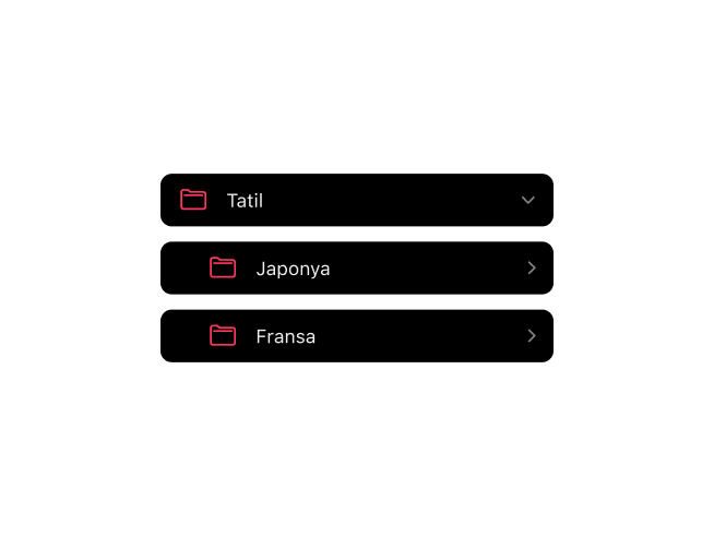 Film rulosu arşivleri için iç içe klasör organizasyonu gösteren Frames film fotoğrafçılığı uygulaması