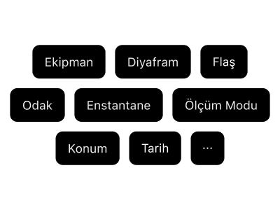 Eksiksiz film meta veri izleme alanları: kamera ekipmanı, film stoğu, diyafram, odak uzaklığı, enstantane hızı, ISO, flaş ayarları ve GPS konum verileri.